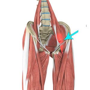 Hip Flexor Strain Nashville | Overuse Injury Franklin