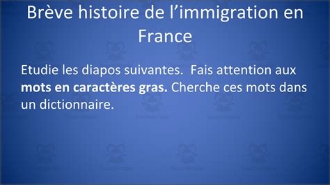 French: Brève Histoire de l'immigration en France by Teach Simple