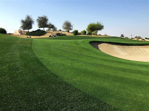 Different Types Of Golf Grass And How They Affect Your Game