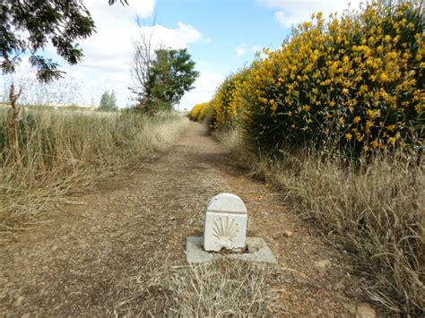 Walk With Sandra Camino De Santiago Day Carrion De Los Condes To