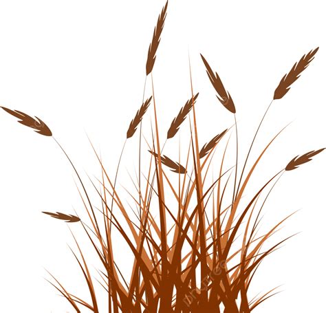 Reeds Grass Element Png Vector Psd And Clipart With Transparent