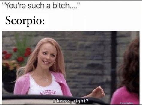 28 Funny and Relatable Scorpio Memes | So Syncd