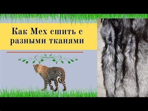 Как правильно сшить разные виды ткани с мехом | Меховой жилет, Мех лисы ...