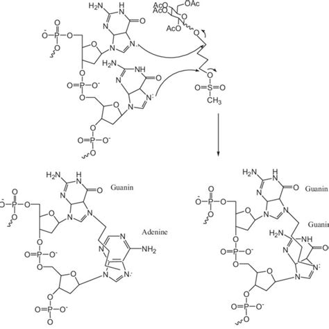 The process of acetylation of glucose by acetic anhydride in the ...