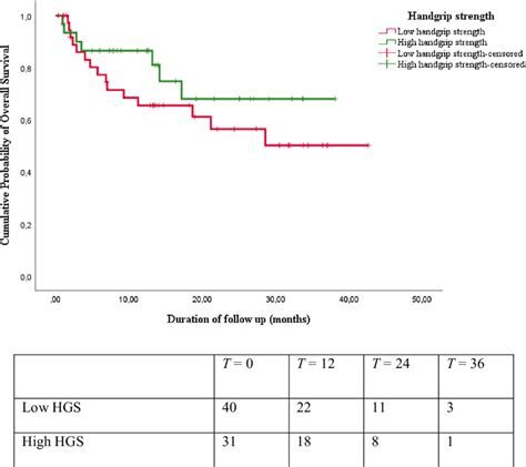 Kaplan Meier Overall Survival Curves And Number At Risk Table For