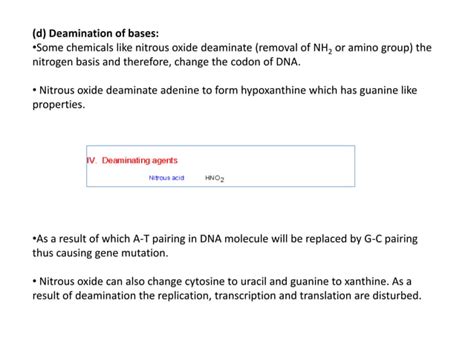 Molecular Mechanism Of Induced Mutations PPT