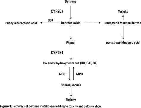 Figure 1 from Biomarkers of leukemia risk: benzene as a model ...