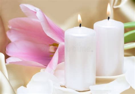 Candles with flower stock photo. Image of healthy, cosmetic - 8777384