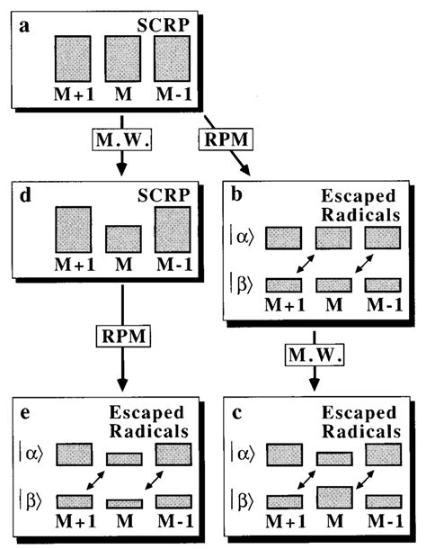 The Diagram Showing Qualitatively The Effect Of The M W Pulse On