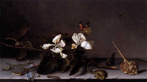 Still Life With Apple Blossoms Balthasar Van Der Ast