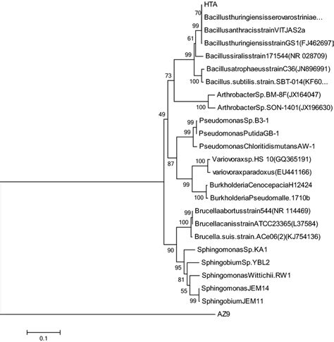 Neighbor Joining Phylogenetic Analysis Resulting From The Multiple