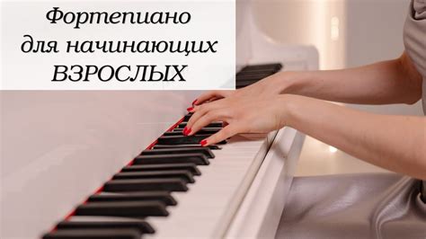 Фортепиано для начинающих взрослых: о чём важно знать | Уроки музыки ...