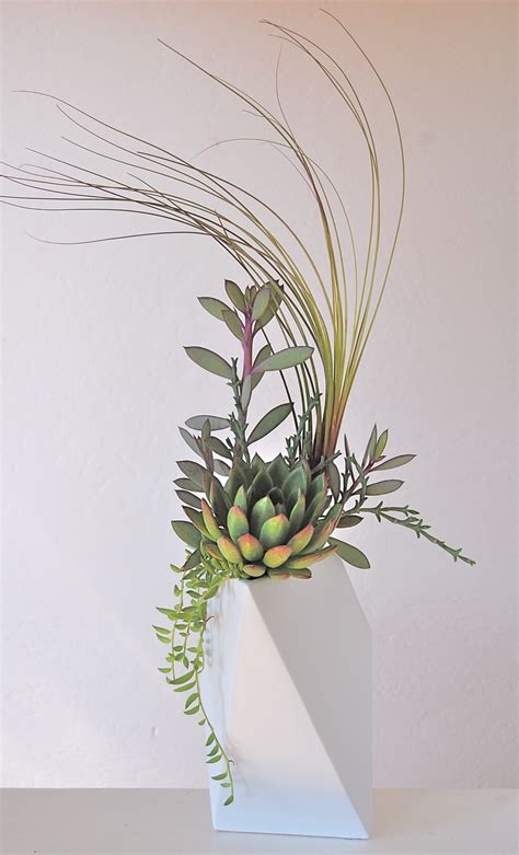 Succulent Arrangements 1 — Flourish