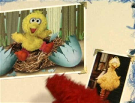 Elmo's World: Babies - Muppet Wiki