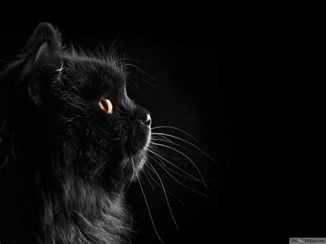 Gelap Wallpapers - Top Free Gelap Backgrounds - WallpaperAccess