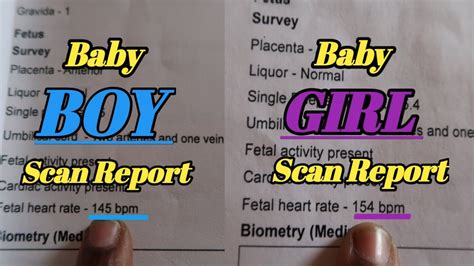 Baby Boy Baby Girl Scan Report Differentiate B W Boy Girl Baby