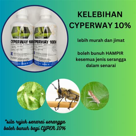 Racun Serangga 10 Cyperway Cypermethrin Ulat Plutella Hellula Kuntum