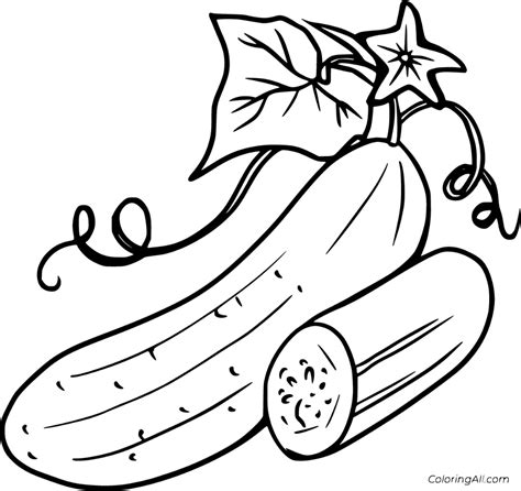 26 Free Printable Cucumber Coloring Pages In Vector Format Easy To