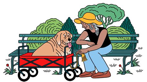 how to make a dying dog comfortable