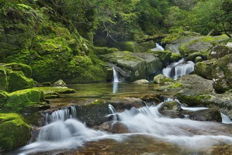 Yakushima japan Stock Photos, Royalty Free Yakushima japan Images ...