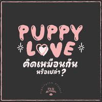 คิดเหมือนกันรึเปล่า (Puppy Love) MP3 Song Download | คิดเหมือนกันรึเป ...