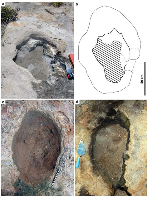 FATOS DO RN Entenda Como Pegadas De Dinossauros Encontradas No RN