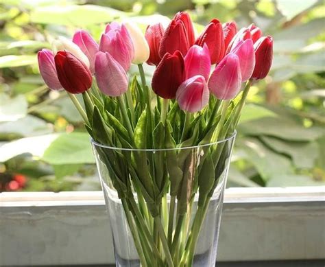 P Mixed Color Cm Pu Latex Real Touch Single Stem Tulip Artificial