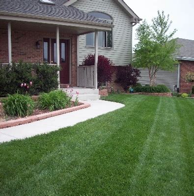 Gallery | Grasshopper1 Lawn Care