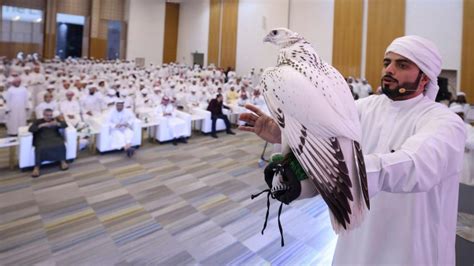 Uae Rare Falcon Sells For Dh Million At Abu Dhabi Auction Uae Times