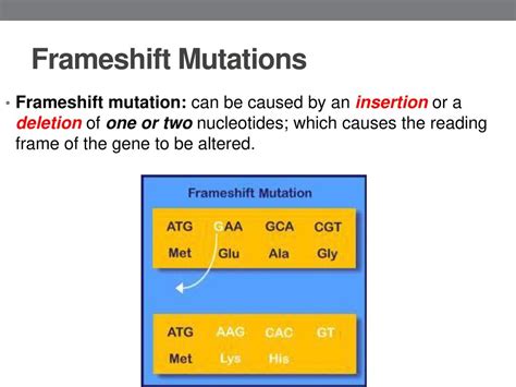 Chapter 20 Molecular Genetics Ppt Download