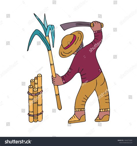 Sugar Cane Collector Machete Doodle Style Vector De Stock Libre De