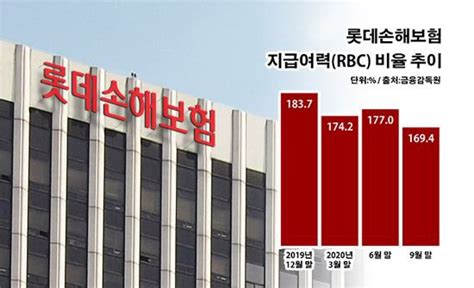 롯데손보 자본력 밑 빠진 독사모펀드 그림자 네이트 뉴스