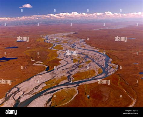 Arctic Refuge Landscape Wildlife Hi Res Stock Photography And Images