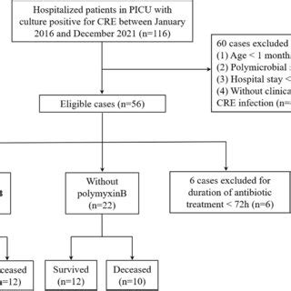 Flow chart of included patients with CRE infections. CRE,... | Download ...