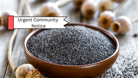 Community Notice Contaminated Poppy Seeds Causing Severe Negative