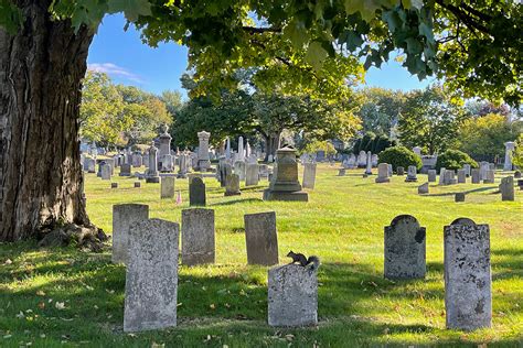 The Potential Of Our Decay Cemeteries That Save The American Landscape