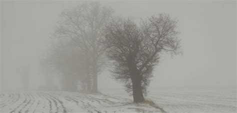 The Dangers of Freezing Fog | WeatherBug