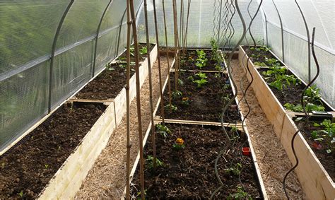 Pourquoi cultiver sous serre Mon potager en carrés