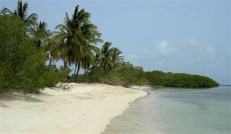 Isla De Coche Estado Nueva Esparta Venezuela Islas Foto