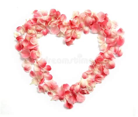 Heart Of Lillies Stock Photo Image Of Beauty Isolated 17842132