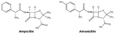 Structures of ampicillin and amoxicillin. | Download Scientific Diagram