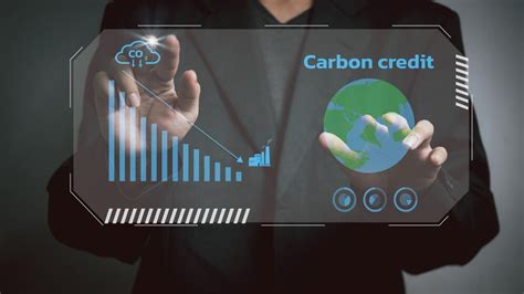 Finding The Right Carbon Management Solutions For Your Business