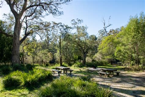 Lake Tyers Camping & Access Strategy Released | Gunaikurnai Land and Waters Aboriginal Corporation