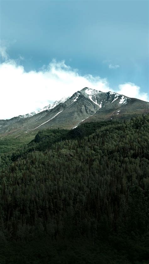 图片素材 景观 树 性质 森林 荒野 雪 云 爬坡道 山脉 高地 岭 首脑 高原 下降 栖息地 湖 地形