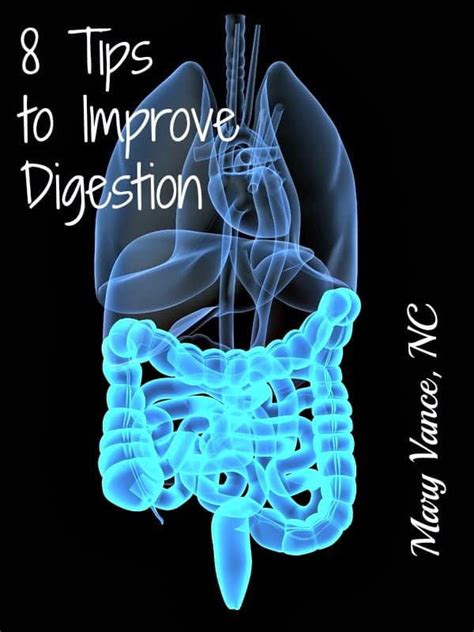 8 Tips To Improve Digestion Mary Vance NC