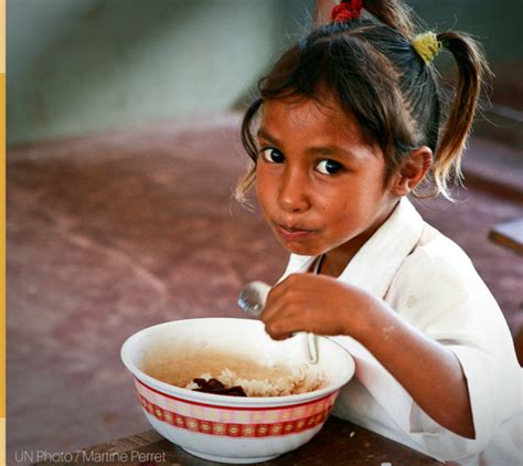 Desnutrición y hambre cero Desarrollo Sustentable