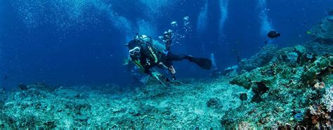 Bali Scuba Diving | Balifundiving.com - balifundiving - Medium