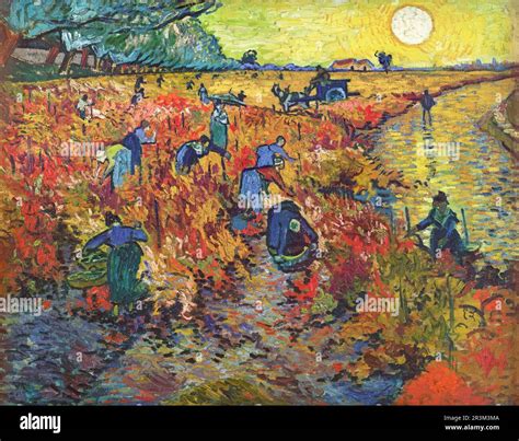 The Red Vineyard painting by Vincent van Gogh Stock Photo - Alamy