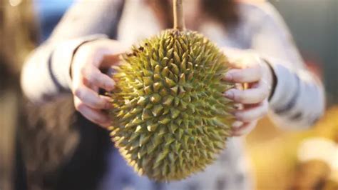 Ini Kandungan Gizi Durian Si Duri Lancip Yang Bikin Ketagihan Health