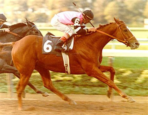 Keep Turning Left!: Affirmed & The Triple Crown